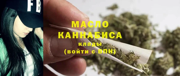 гидра Арсеньев