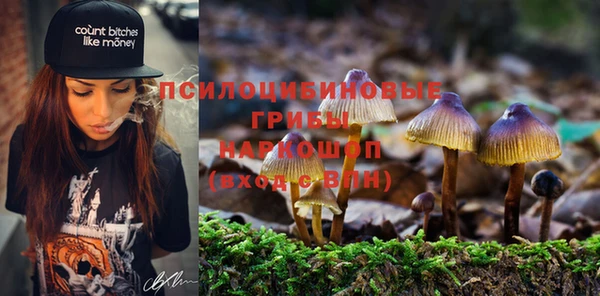 дурь Армянск
