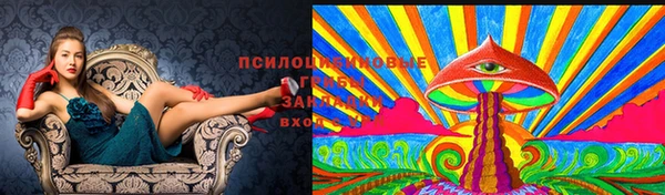 дурь Армянск