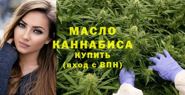 гидра Арсеньев