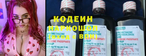 гидра Арсеньев