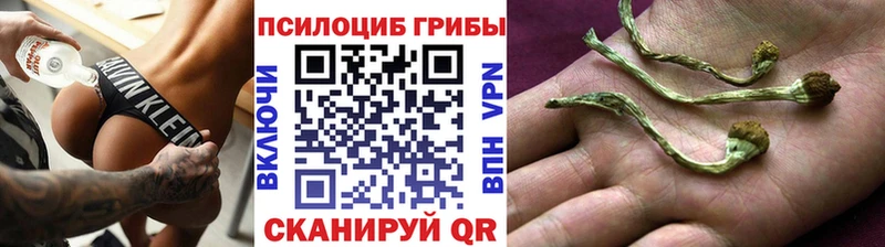 ОМГ ОМГ как зайти  Ростов  Галлюциногенные грибы Magic Shrooms 